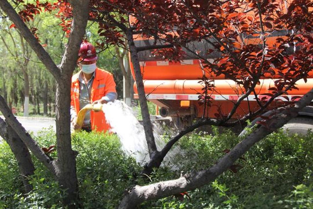 城区道路绿化养护浇水